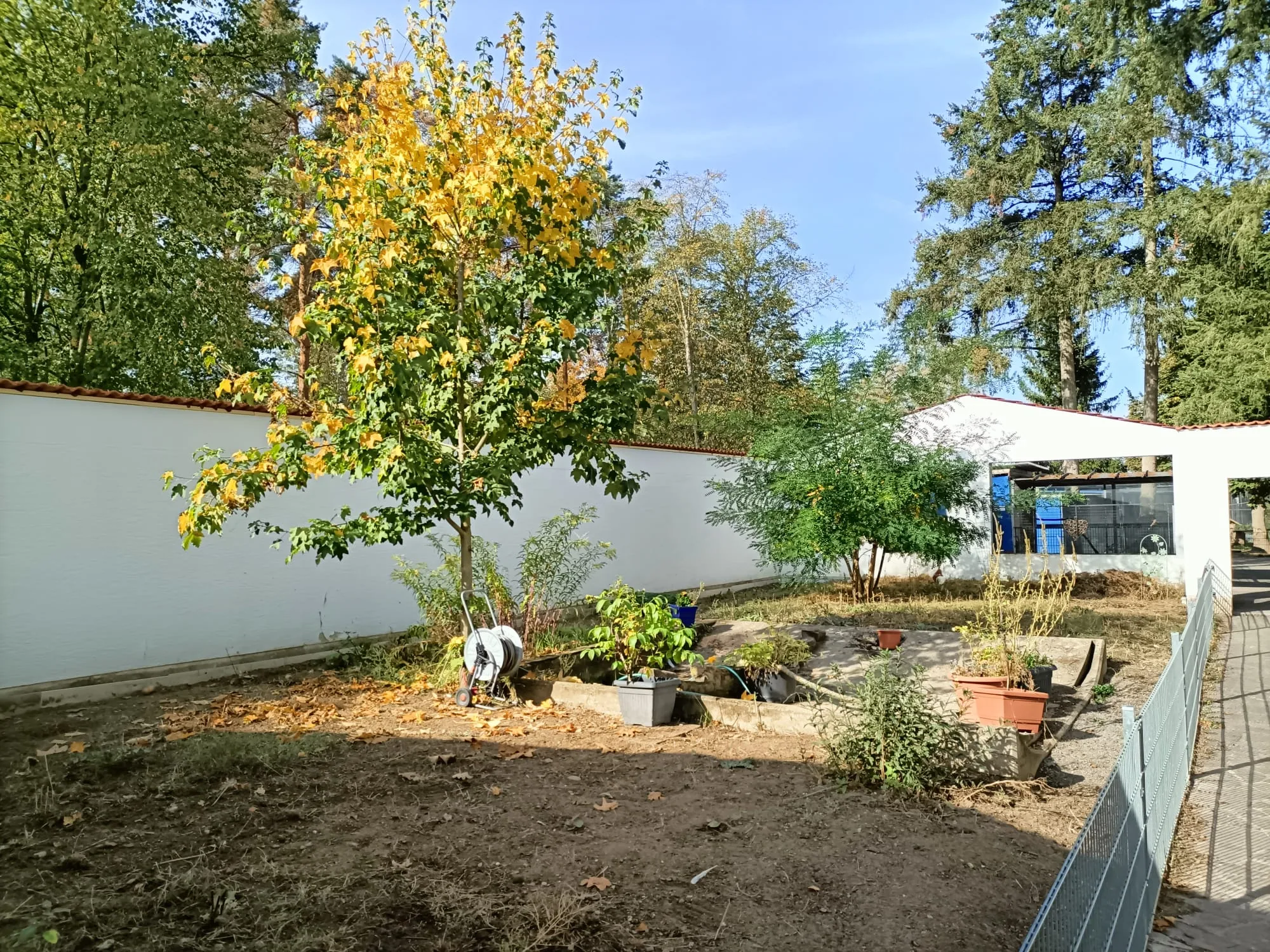 Vorschau 3